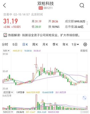 雙槍科技擬新設(shè)全資子公司雙槍實業(yè)，股價強勢漲停
