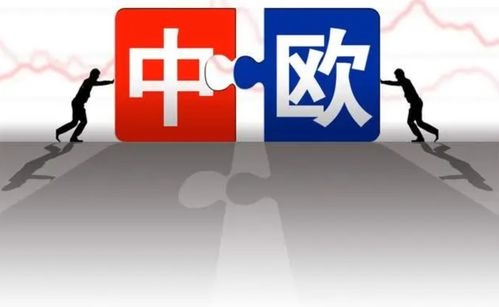 多國勸阻難擋歐盟決定，對華加征關稅引發連鎖反應，中方24小時內強硬回應彰顯技術推廣信心