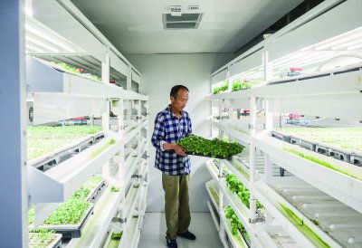 浦口節水型育苗技術實現突破，節水率達50%并啟動全國推廣與技術轉讓